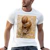 Two Land Snail In Love TShirt Big and Tall Short Sleeve Tee