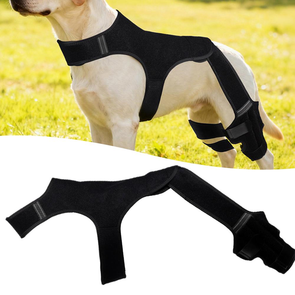 Dog Rehabilitation Supportive Brace Speed-Up Knee