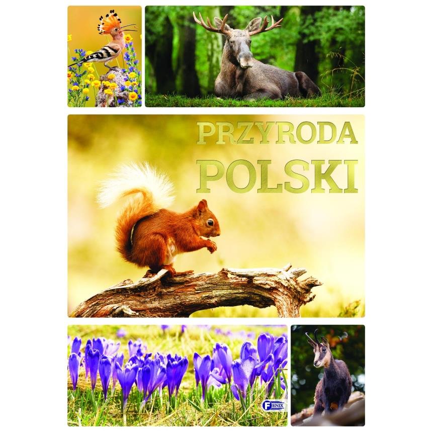 Książka Przyroda Polski Album Zwierząt Roślin Ciekawostki Edukacyjna