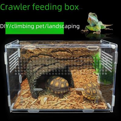 קופסת רבייה שקופה מאקריליק לזוחלים לצב, לטאה, עכביש, קיפוד, צפרדע