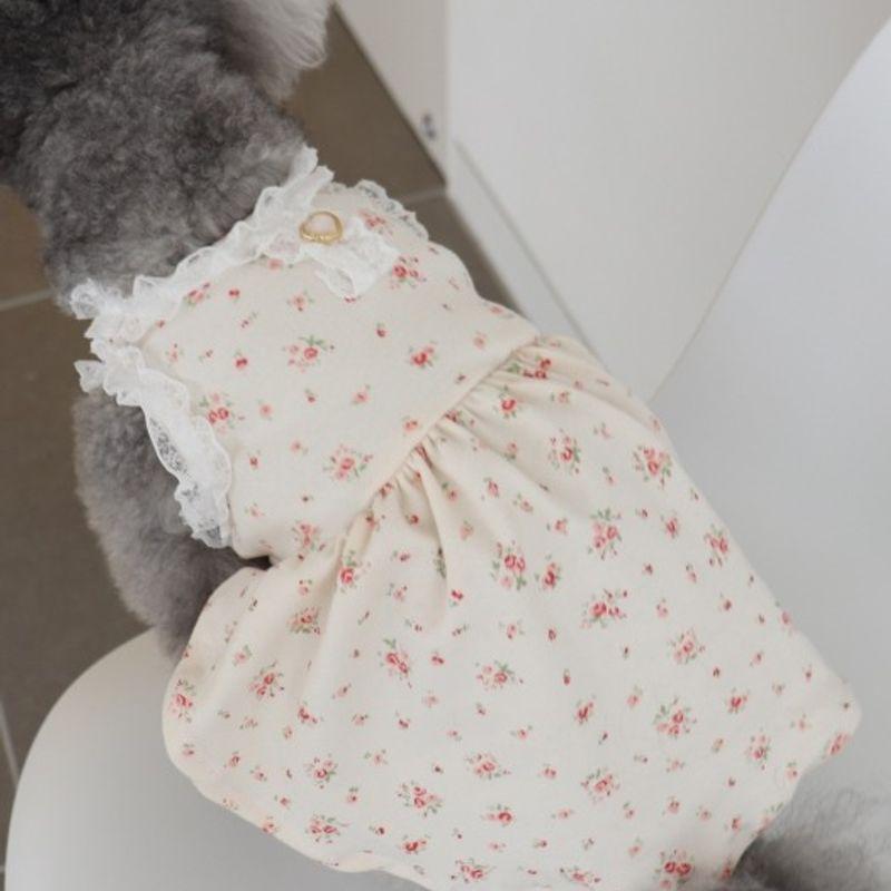 Haneul Mung Mung Sky Woof Woof Baby Sailor Moon One Piece 3 Colors