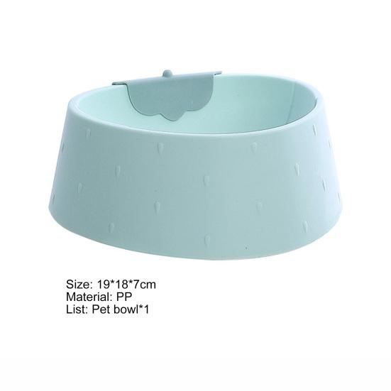 Bol pisică 800ml Anti-răsturnare Capacitate mare Suport hrană Băut apă animal de companie Hrană