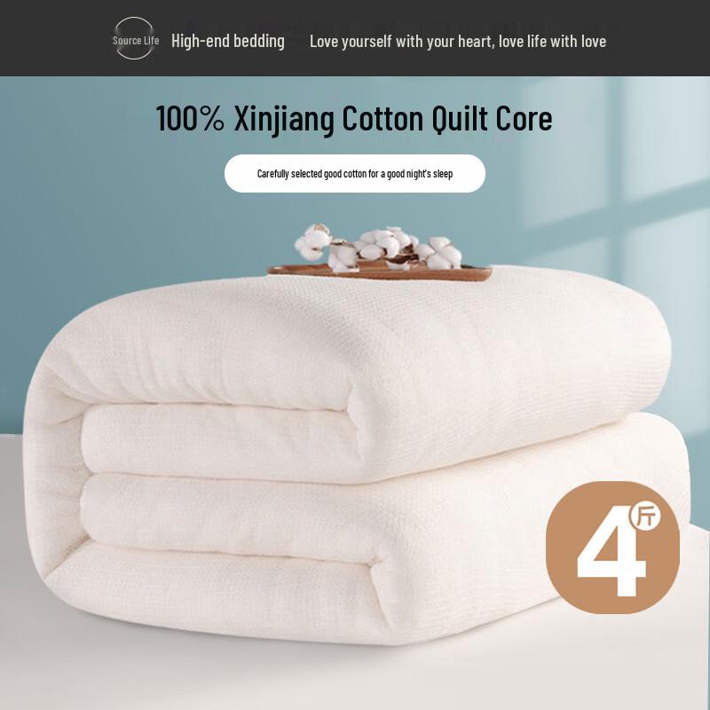 

100% Natural Xinjiang Cotton Duvet Insert