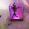 Square USB LED Lights Resin Art Home Decor Crystal Glass Lamp Base Wooden Light Base Crystal Stand Crystal Display Holder