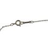 TIFFANY&Co. Necklace Silver Women used