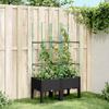 Vidaxl Garden Planter With Trellis, Black, 80X40X142.5 Cm, Pp