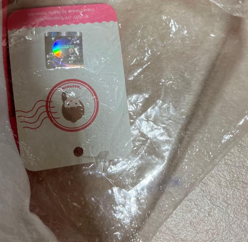 [USED] TWICE Chaeyoung Character Cushion Dudun-i