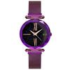 Women Watches Hours Mesh Magnet Starry Sky Watch Luxury Ladies Roma Dial Quartz Wristwatch