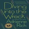 Diving Into the Wreck by Adrienne Rich Paperback Book 9780393346015