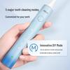 BAIR X304 Adult Sonic Electric Toothbrush