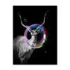 Black Cat with Colorful Bubbles Poster Cute Animal Giraffe Elephant Lion Posters and Prints Wall Arts Canvas Painting Home Decor