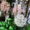 Artificial Flower Dandelion Simulation Dandelion/flower White Plastic Iron Wire For Home Garden Decoration Fake Flowers-hao