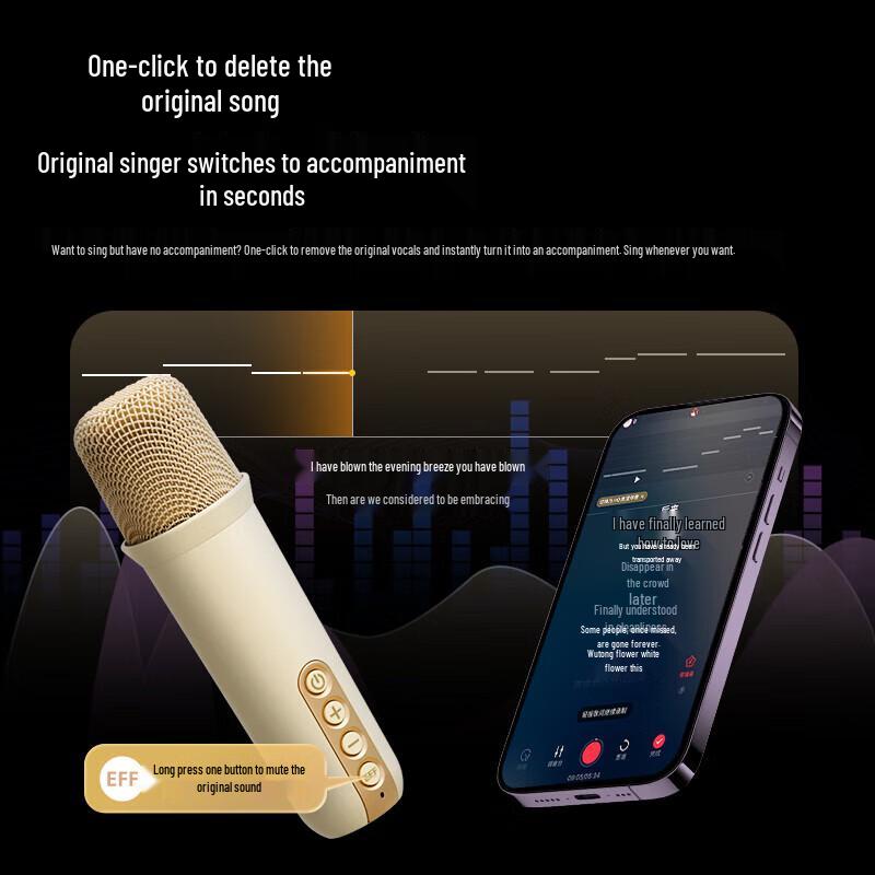 Philips Karaoke Microphone & Speaker System