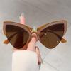Oversized Cat Eye Sunglasses Women Stylish Butterfly Shaped Gradient Shades Ins Trendy Luxury Brand Design Sun Glasses