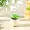 Minimalist Faux Succulent Bonsai