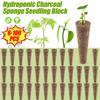 Губки для вирощування насіння Замінні губки для росту коренів Стартові блоки для розсади Насіннєві капсули Гідропонний сад Посадка