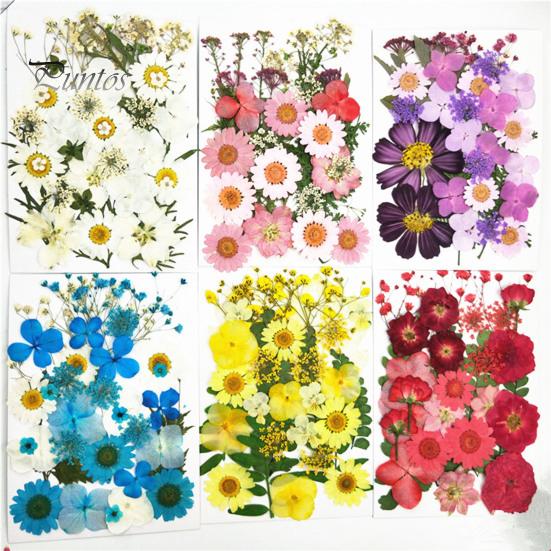 DIY Harz Kunst Blumen-Set 1 Set Getrocknete Gepresste Blumen Bunte Natürliche Bastelbedarf Kerzenherstellung Schmuck Epoxidform Vase Nagelkarte Scrapbooking