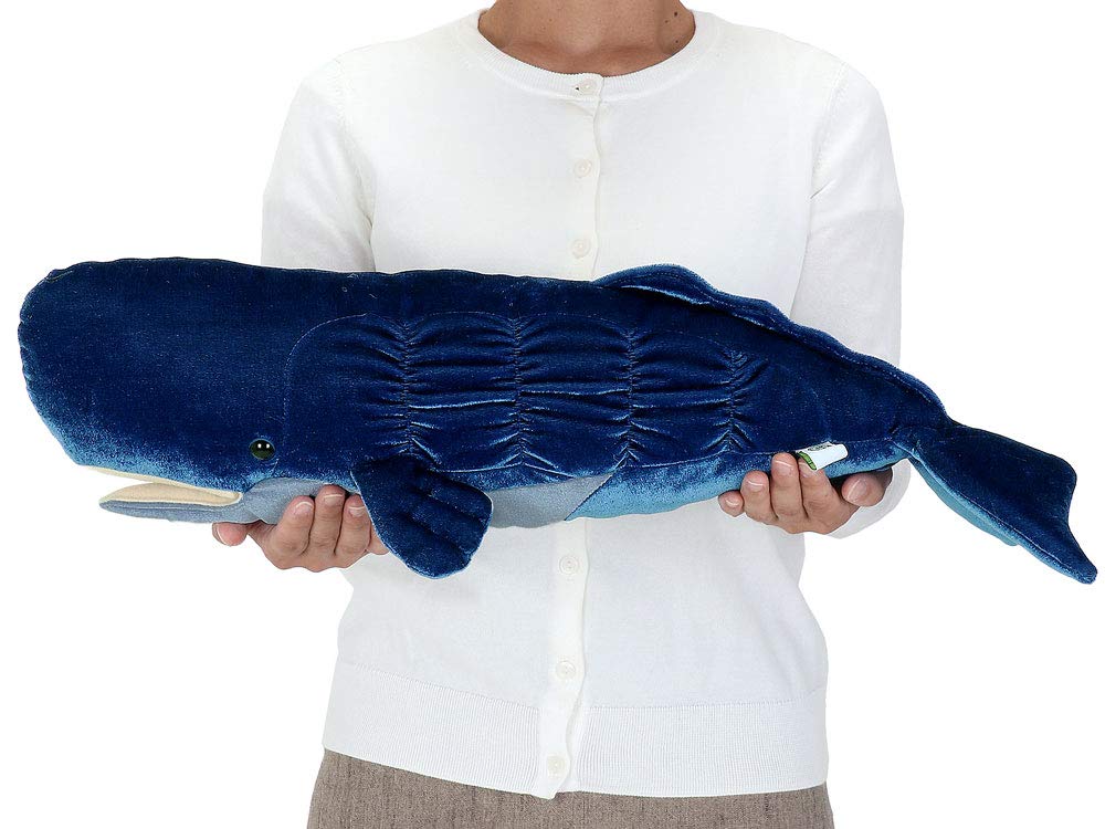Carolata Sperm Whale Plush Toy (62 x 27 x 14cm  Soft to the Touch) Realistic Whale Animal Toy Doll Gift Present Birthday (Twice Tested)  Christmas