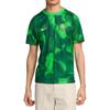 Nike Soccer Jerseys Men's Green Moderate HM5716-302