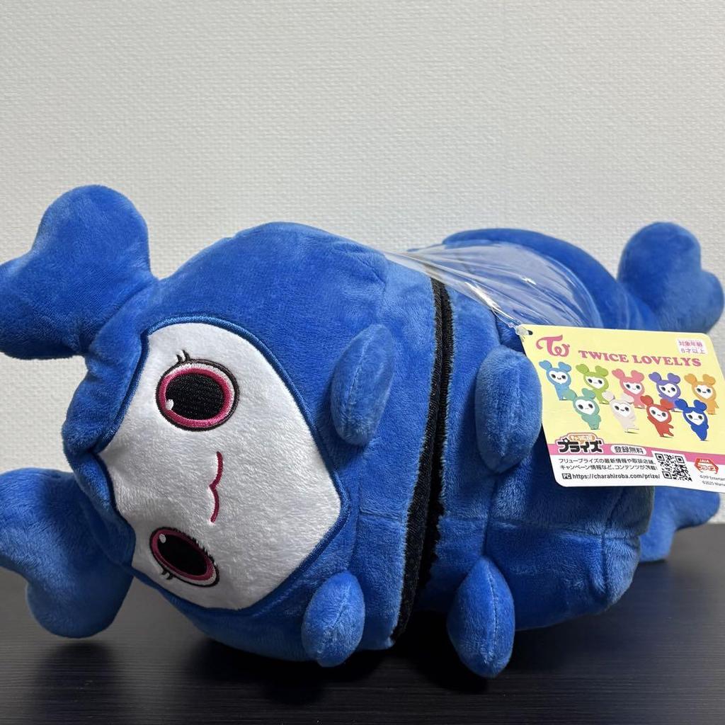 [USED] GiGO Limited Edition TWICE LOVELYS Plush Slippers Tzuyu