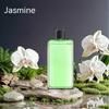 NEW Diffuser Aromatherapy Machine,Wireless Wall Hanging Portable Automatic Fragrance Spray Bathroom Toilet Deodorization