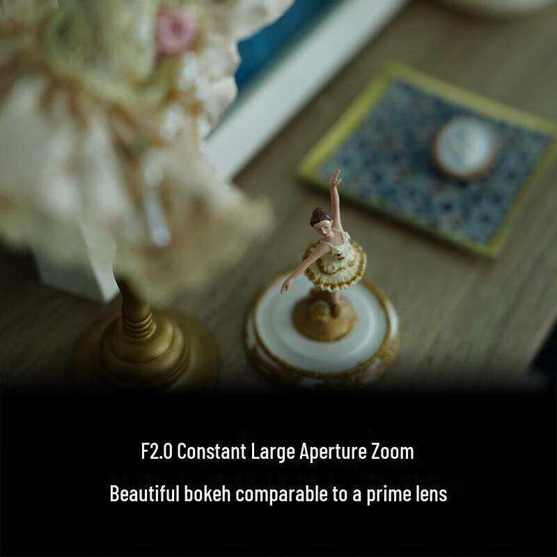 Sony FE 28-70mm F2 GM G Master Full-Frame Lens