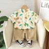 Children's Set Summer Children's Clothing Cartoon Full Printed Dinosaur Short Sleeved Baby T-shirt Boys' Summer Set