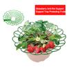 10pieces Strawberry Plant Support Stand | Rack Protector With Growing Holder Cage Strawberry Mats