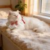 Pearl Bow Lace Pet Scarf, Checkered Adjustable Collar for Cats & Dogs, Party Photo Accessory