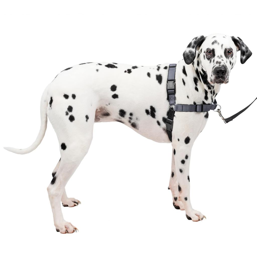 PetSafe Dog Harness Deluxe Easy Walk Harness Steel Silver x Black L Anti-Pull