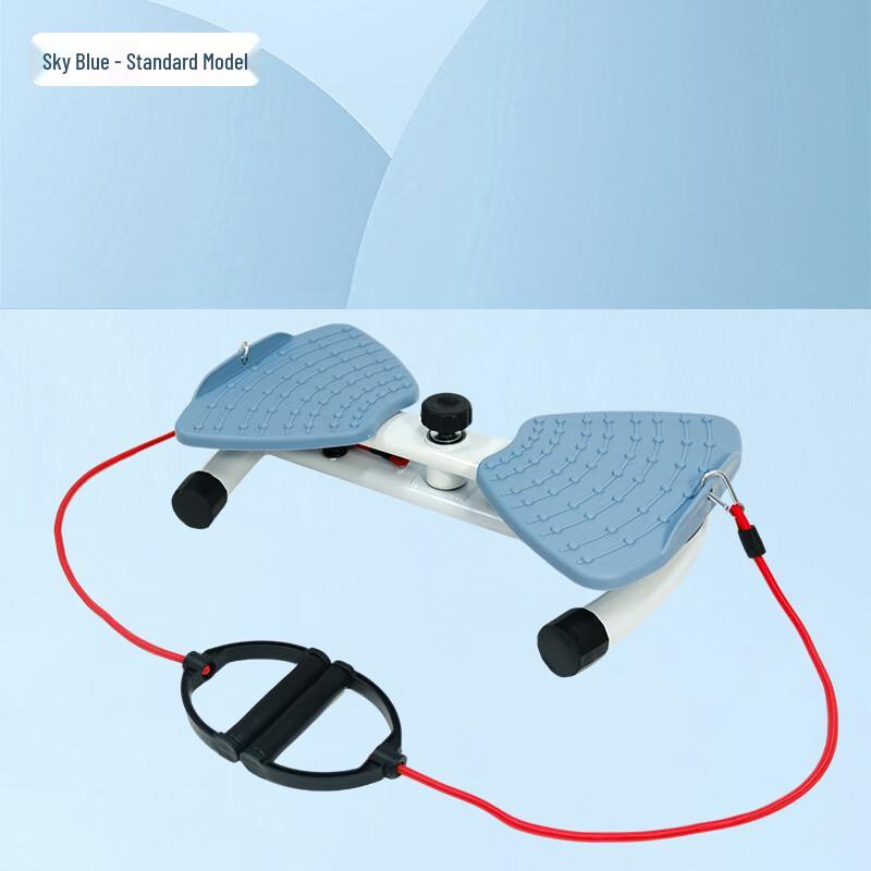 Longchan Home Waist Twister