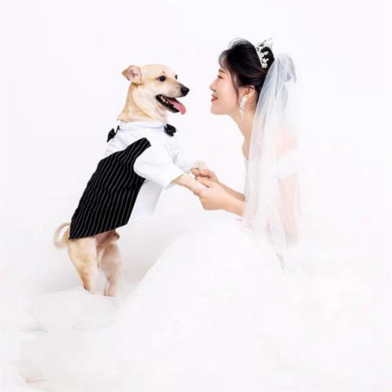 Exquisite Pet Dog Shirt Suit Fashion Cat Suit