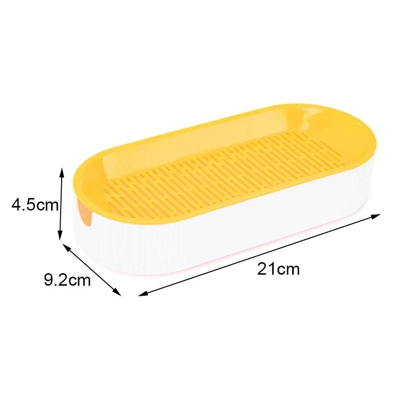 Hydroponic Cat Grass Box Cat Treats Catnip Hydroponic Soilless Planting Cat Grass Pot Set for Easy Growth Dropshipping