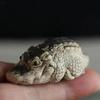 1 Stück Boutique Teetier Kleines Krokodil Teetier Ornament Handgefertigt Teezermonie Teespiel Finanzielle Teetisch Geschenk
