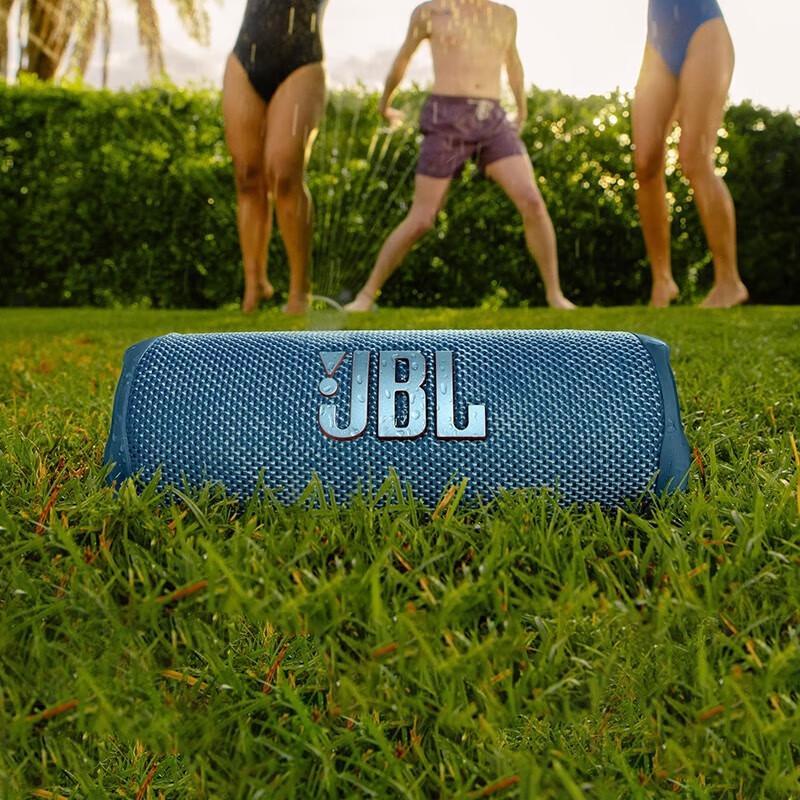 JBL Flip 6 Portable Bluetooth Speaker CN plug (adapter included)