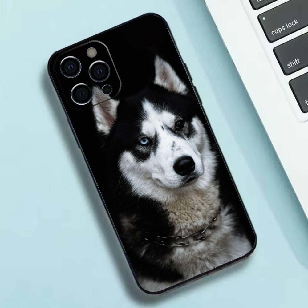 Cute Siberian Husky Dog Phone Case Silicone Soft For IPhone 17 16 15 14 13 12 11 X XR Plus Pro Max Plus