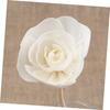 BESPORTBLE 8pcs Rattan Sola Flower Essential Oil Vines White Outfit Wood Appliques Floral Diffuser Wick Spa Perfume Beautiful Diffuser Flowers Wooden