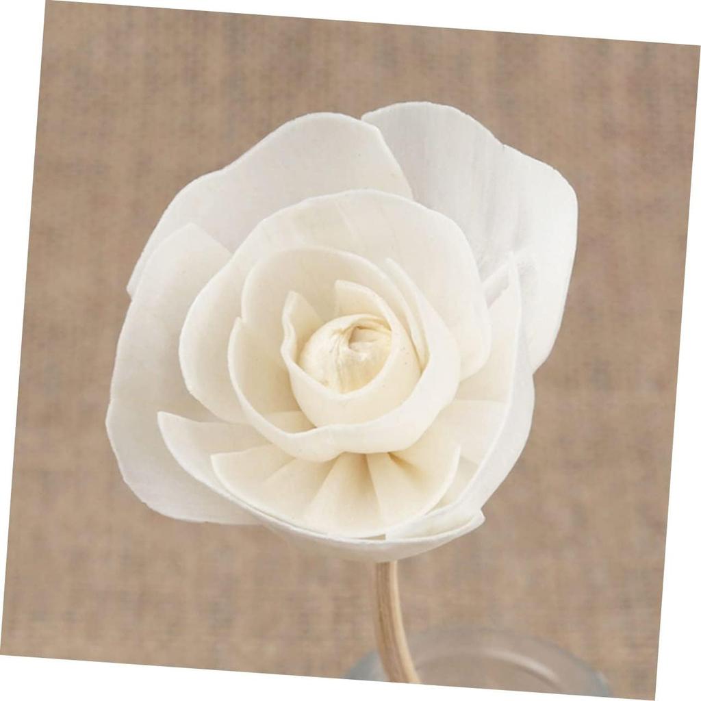 BESPORTBLE 8pcs Rattan Sola Flower Essential Oil Vines White Outfit Wood Appliques Floral Diffuser Wick Spa Perfume Beautiful Diffuser Flowers Wooden