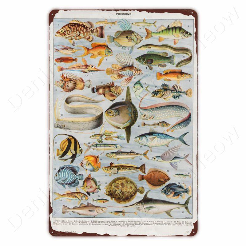 Starověcí Znamení Vintage Kovové Znamení Fosilní Nástěnné Umění Plakát Savci Ryby Znamení pro Domov Třída Dekor Hmyz Plechové Znamení