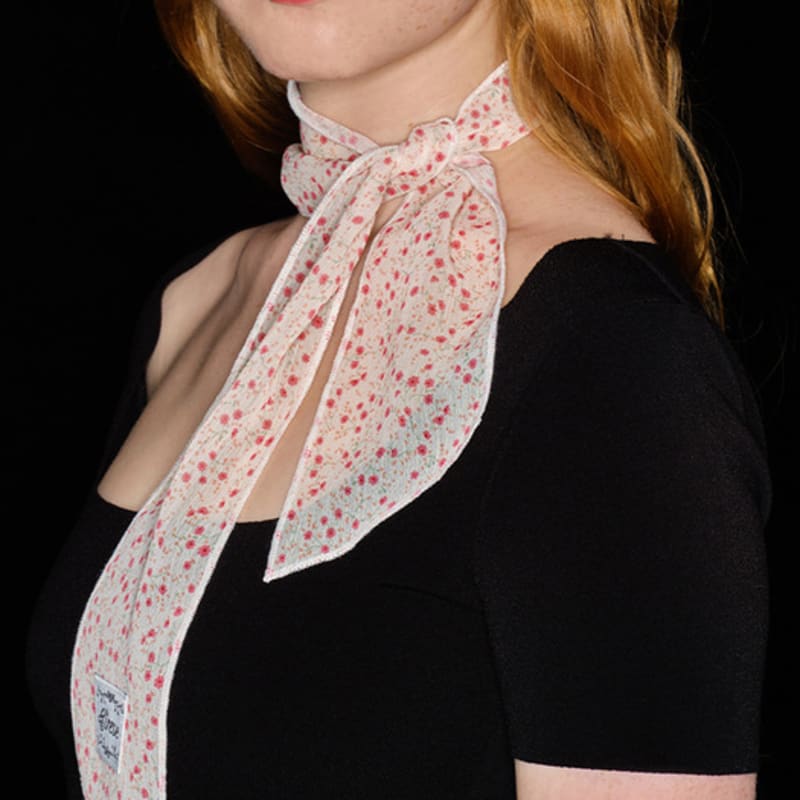 Eireve FLORAL PETITE CHIFFON SCARF (RED)