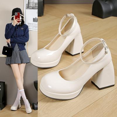 Mary Jane Shoes Internet Celebrity Design Sense Niche Square Head High Heels 2025 Summer New Thick Heel Bag Head Sandals Women's Shoes