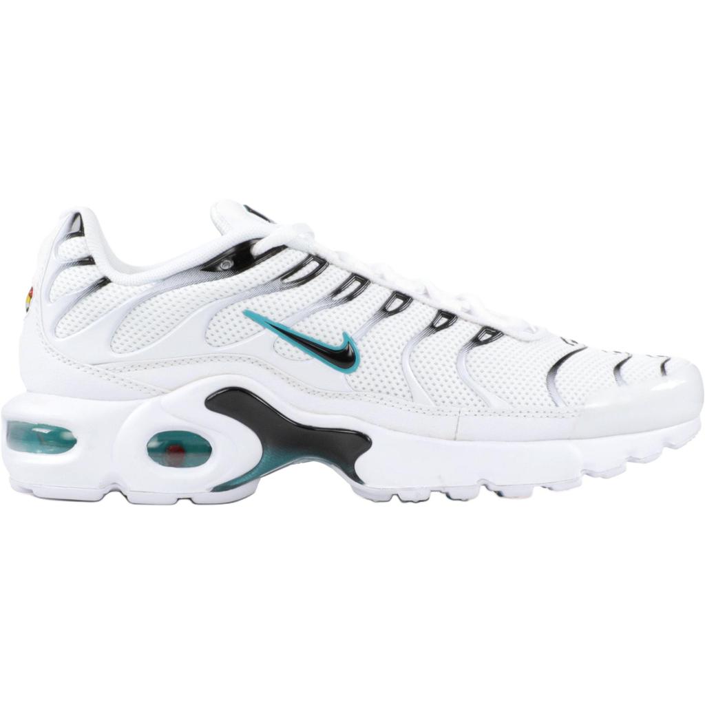Nike Air Max Plus Bg 'Dusty Cactus' AO9340-100