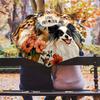 Papillon with Tongue Sticking Out  Pattern, Automatic Folding Umbrella, Portable and Foldable Design, 8 Ribs, a Christmas or Birthday Gift.