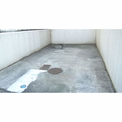 Toyaku Moss and Mold Remover 420ml