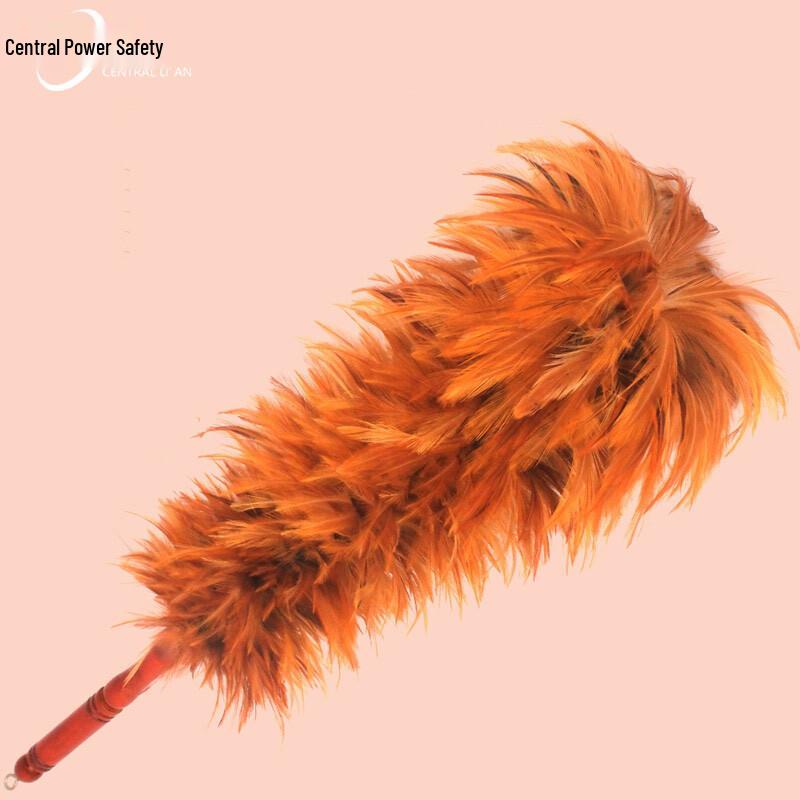 Zhonghuan Li an Wood Handle Retractable Feather Duster