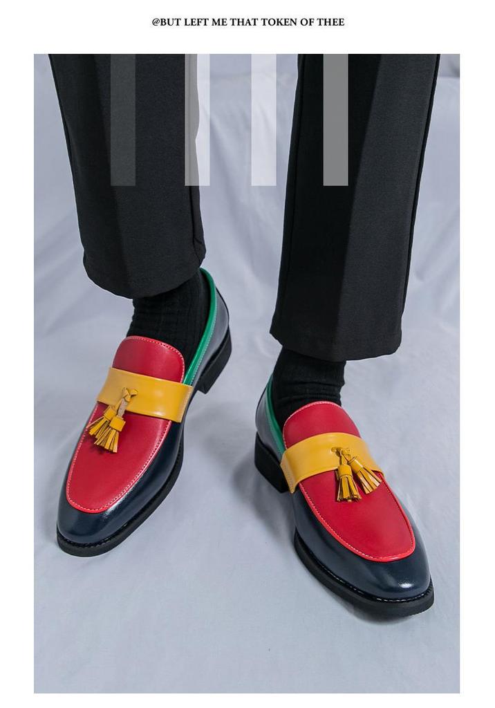 Men's Large Size Color Block Pointed Toe Leather Loafers