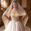 One Tier Cathedral Wedding Veil, White Tulle Bridal Veil with Golden Floral Lace Embroidery, 300cm Long Train Wedding Headwear for Bride