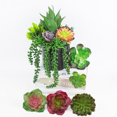 Set0863 Simulation Succulent Plant Set Succulent Plant Mixed With Home Shopping Mall Decoration Shooting Props