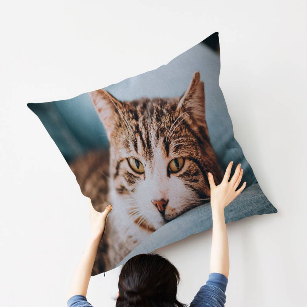 Cat Cute Kitten Stitch Lucky Dragon pillow cover sofa cushion cover home room decoration children gift