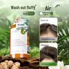 Zhuolanya Ginger Anti-Hair Loss Shampoo
